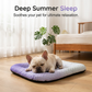 ⏰LAST DAY SALE ONLY￡8.99!!❄Pawchill Pet Cooling Mat for Dogs & Cats 🐾  Naturally Cool Ice-Silk Pad • Breathable, Washable & Soft 🌿  For Floors, Sofas & Car Travel • Multiple Sizes • Gradient Colours ☀️🐶🐱
