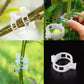 🗜️Clips pour plantes grimpantes – Attaches en plastique pour tomates et plantes grimpantes 🌱🍅