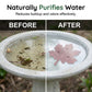 💐50% DE RÉDUCTION ! Purificateur Bain d‘Oiseaux – Feuille en Cuivre Pur, Design Naturel 🍃🐦【Stock Limité】