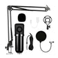 Kit microphone à condensateur professionnel avec bras de support