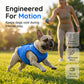 🐶 LIMITED-TIME 50% OFF! ✨ Cooling Dog Vest – Breathable Mesh, Heat Relief, Active Pets 🌊