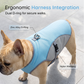 🐶 50% OFF NOW! ☀️ Dog Cooling Vest Harness – Ice-silk fabric & adjustable – Keeps your pet cool in summer – perfect for walks, beach or travel 🐾🌊✨
