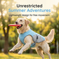 🐶 50% OFF NOW! ☀️ Dog Cooling Vest Harness – Ice-silk fabric & adjustable – Keeps your pet cool in summer – perfect for walks, beach or travel 🐾🌊✨