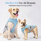🐶 50% OFF NOW! ☀️ Dog Cooling Vest Harness – Ice-silk fabric & adjustable – Keeps your pet cool in summer – perfect for walks, beach or travel 🐾🌊✨